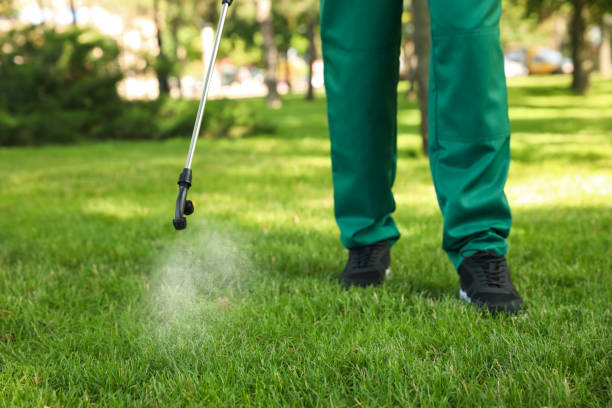 Best Commercial Pest Control Services  in Graham, TX