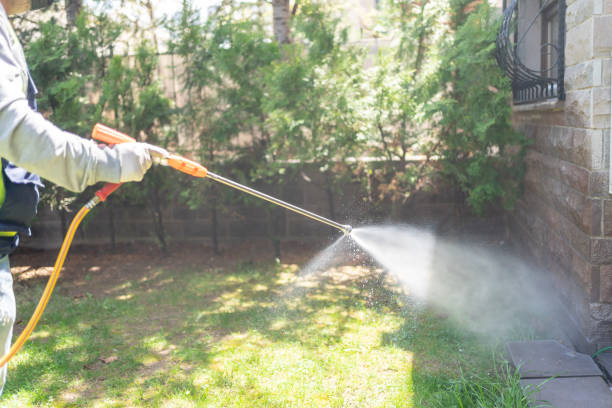 Best Ant Control Services  in Graham, TX