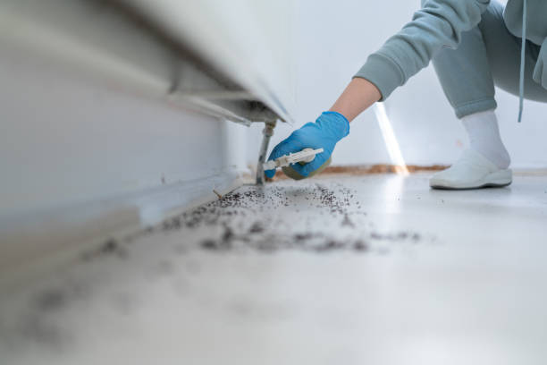 Best Exterminator Services  in Graham, TX